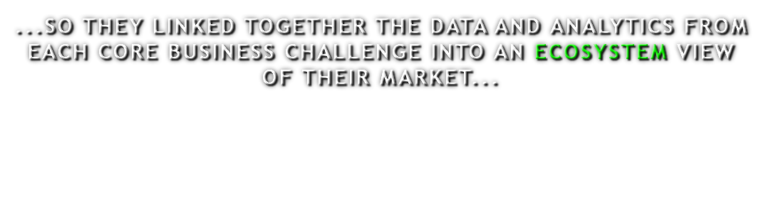 ...SO THEY LINKED TOGETHER THE DATA AND ANALYTICS FROM EACH CORE BUSINESS CHALLENGE INTO AN ECOSYSTEM VIEW OF THEIR MARKET... 