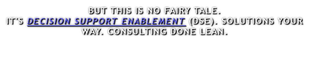 BUT THIS IS NO FAIRY TALE. IT'S DECISION SUPPORT ENABLEMENT (DSE). SOLUTIONS YOUR WAY. CONSULTING DONE LEAN.
